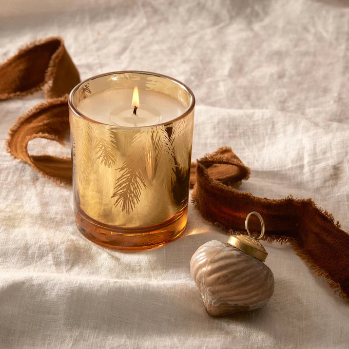 Frasier Fir Gilded Gold Poured Candle - Pine Needle (6.5oz)