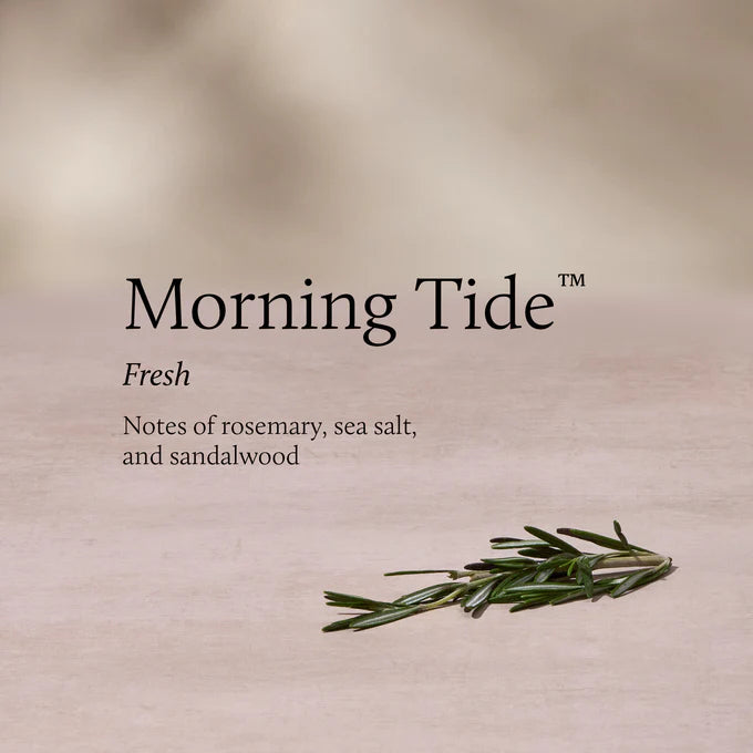 Morning Tide Petite Reed Diffuser